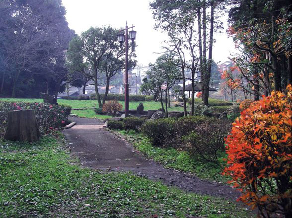 秋の芹澤公園