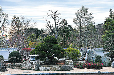 枯山水