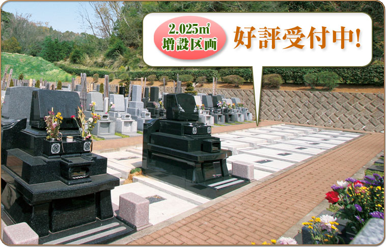 墓地