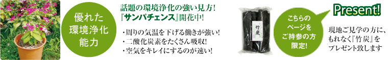 優れた環境浄化能力