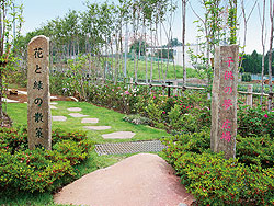 散策路