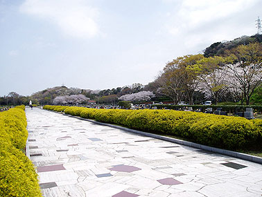 横須賀市営公園墓地