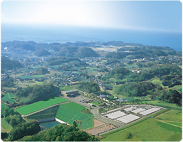 南葉山霊園の墓域